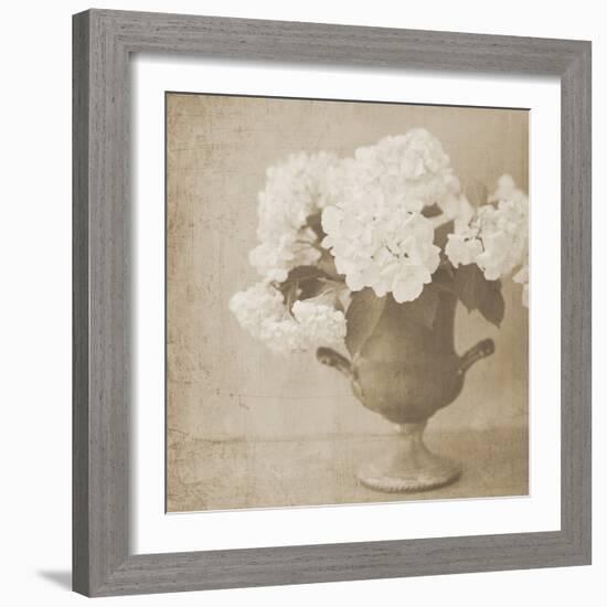 Vintage Hydrangeas-Shana Rae-Framed Giclee Print