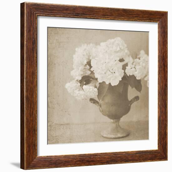 Vintage Hydrangeas-Shana Rae-Framed Giclee Print