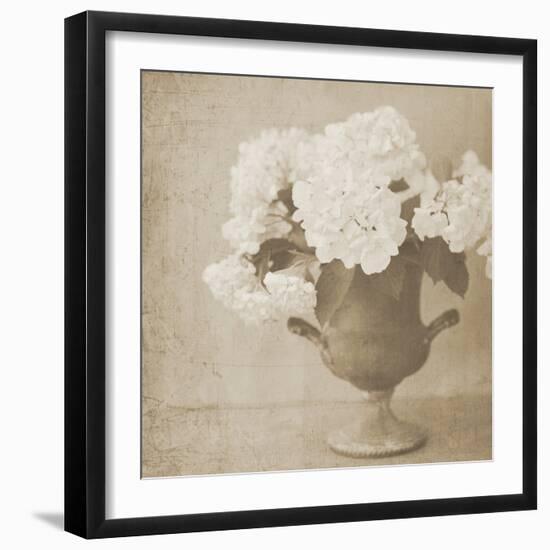 Vintage Hydrangeas-Shana Rae-Framed Giclee Print