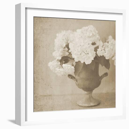 Vintage Hydrangeas-Shana Rae-Framed Giclee Print