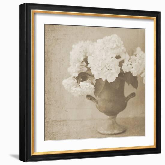 Vintage Hydrangeas-Shana Rae-Framed Giclee Print