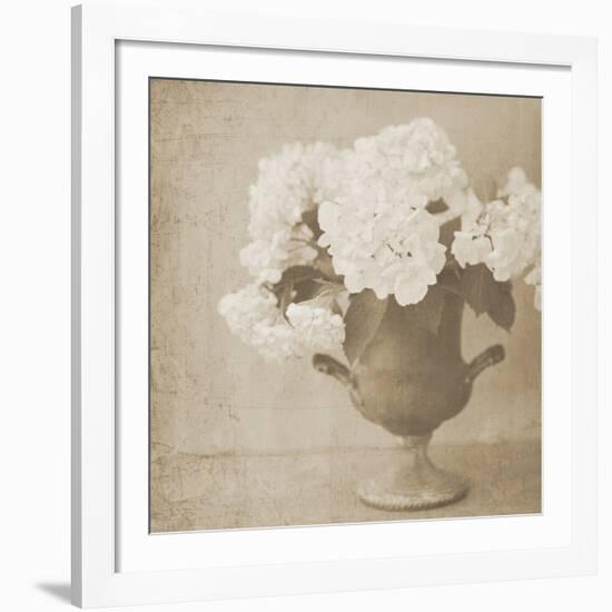 Vintage Hydrangeas-Shana Rae-Framed Giclee Print