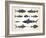 Vintage Illustration of Fish with Names in Tattoo Style over White Background-hauvi-Framed Art Print