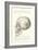 Vintage Illustration of the Skull-null-Framed Art Print