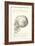 Vintage Illustration of the Skull-null-Framed Art Print