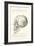 Vintage Illustration of the Skull-null-Framed Art Print