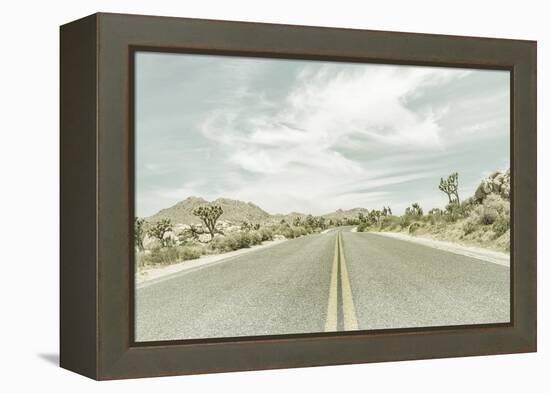 Vintage Joshua Trees, Park Boulevard-Melanie Viola-Framed Premier Image Canvas