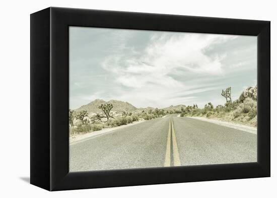 Vintage Joshua Trees, Park Boulevard-Melanie Viola-Framed Premier Image Canvas