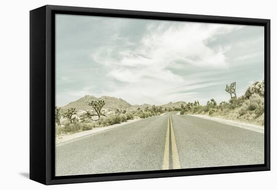 Vintage Joshua Trees, Park Boulevard-Melanie Viola-Framed Premier Image Canvas