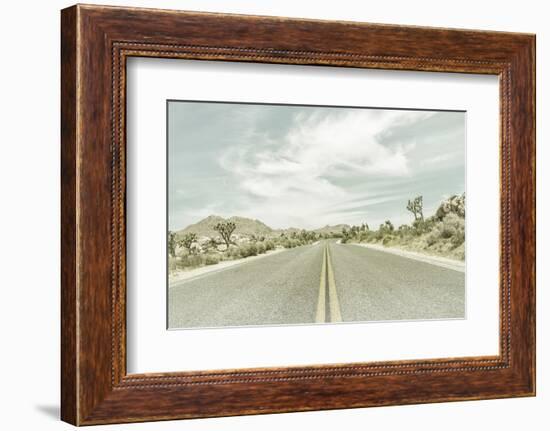 Vintage Joshua Trees, Park Boulevard-Melanie Viola-Framed Photographic Print