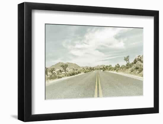 Vintage Joshua Trees, Park Boulevard-Melanie Viola-Framed Photographic Print