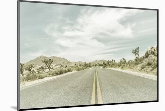 Vintage Joshua Trees, Park Boulevard-Melanie Viola-Mounted Photographic Print