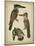 Vintage Kingfishers I-null-Mounted Art Print