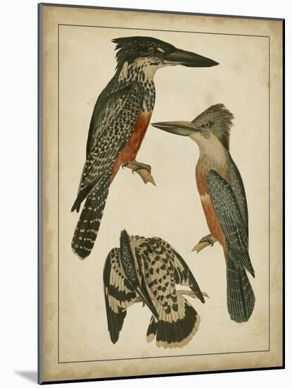 Vintage Kingfishers I-null-Mounted Art Print