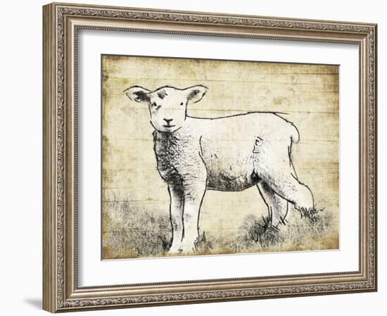 Vintage Lamb Sketch-Jace Grey-Framed Art Print