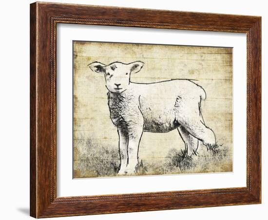 Vintage Lamb Sketch-Jace Grey-Framed Art Print