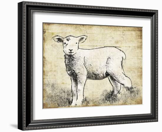 Vintage Lamb Sketch-Jace Grey-Framed Art Print