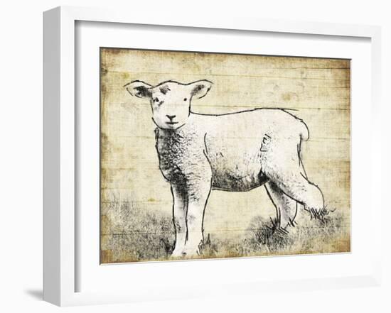 Vintage Lamb Sketch-Jace Grey-Framed Art Print