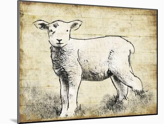 Vintage Lamb Sketch-Jace Grey-Mounted Art Print