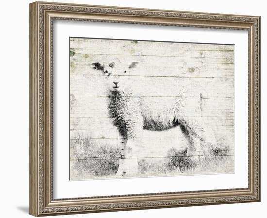 Vintage Lamb-Jace Grey-Framed Art Print