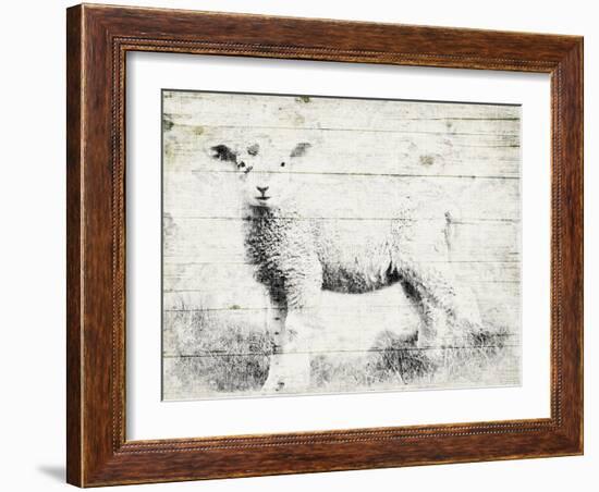 Vintage Lamb-Jace Grey-Framed Art Print