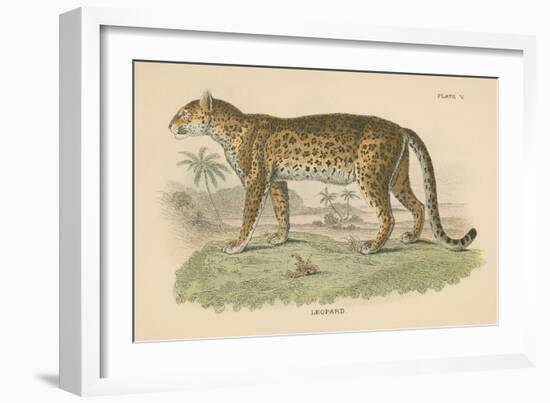 Vintage Leopard-Wild Apple Portfolio-Framed Premium Giclee Print