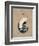 Vintage Linen Nautilus-Regina-Andrew Design-Framed Art Print