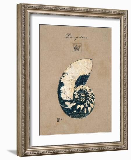 Vintage Linen Nautilus-Regina-Andrew Design-Framed Art Print