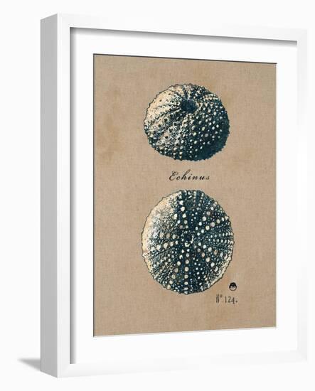 Vintage Linen Sea Urchin-Regina-Andrew Design-Framed Art Print