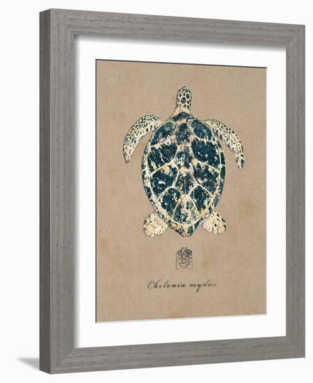 Vintage Linen Tortoise-Regina-Andrew Design-Framed Art Print