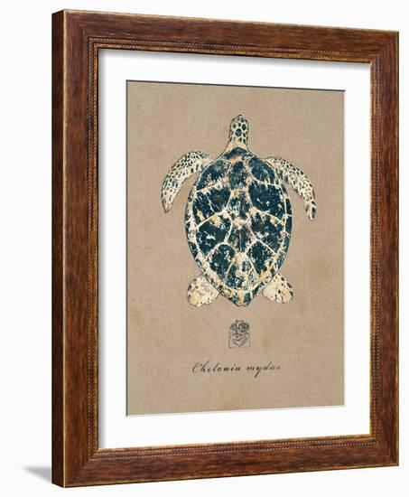 Vintage Linen Tortoise-Regina-Andrew Design-Framed Art Print