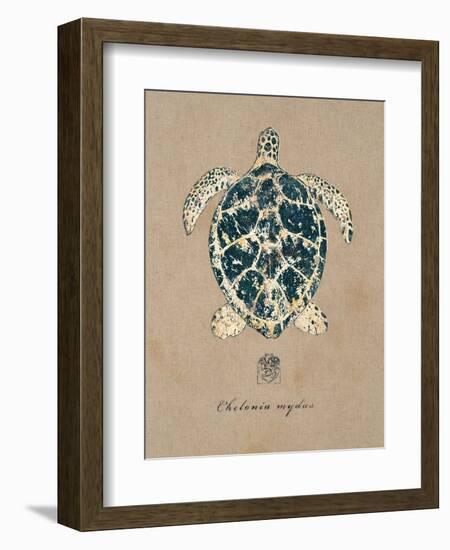 Vintage Linen Tortoise-Regina-Andrew Design-Framed Art Print