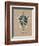 Vintage Linen Tortoise-Regina-Andrew Design-Framed Art Print