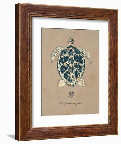 Vintage Linen Tortoise-Regina-Andrew Design-Framed Art Print