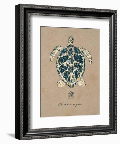 Vintage Linen Tortoise-Regina-Andrew Design-Framed Art Print