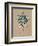 Vintage Linen Tortoise-Regina-Andrew Design-Framed Art Print