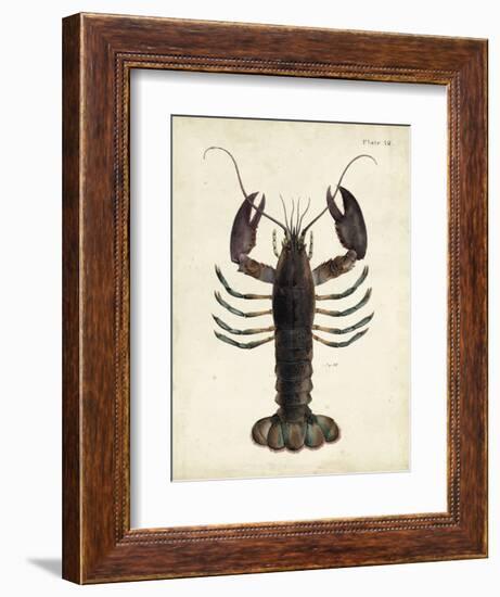 Vintage Lobster-DeKay-Framed Premium Giclee Print