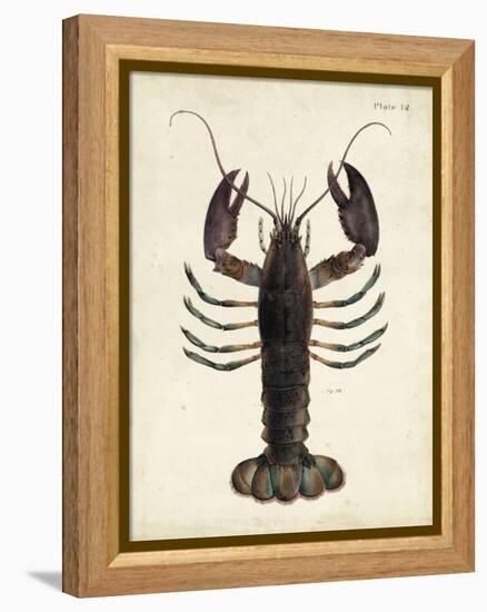 Vintage Lobster-DeKay-Framed Stretched Canvas