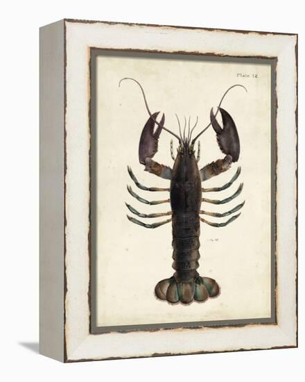 Vintage Lobster-DeKay-Framed Stretched Canvas