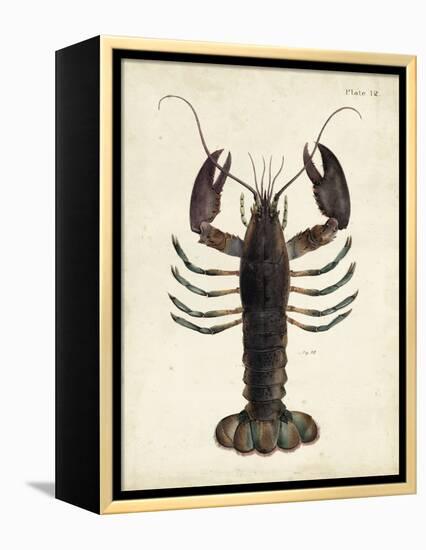 Vintage Lobster-DeKay-Framed Stretched Canvas