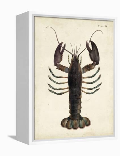 Vintage Lobster-DeKay-Framed Stretched Canvas