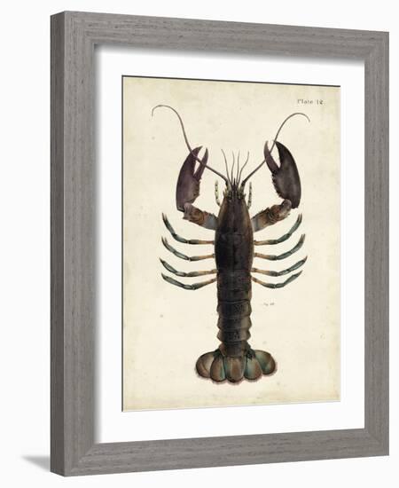 Vintage Lobster-DeKay-Framed Art Print