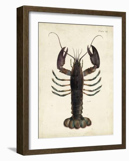 Vintage Lobster-DeKay-Framed Art Print