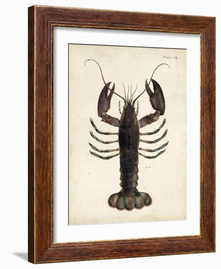 Vintage Lobster-DeKay-Framed Art Print