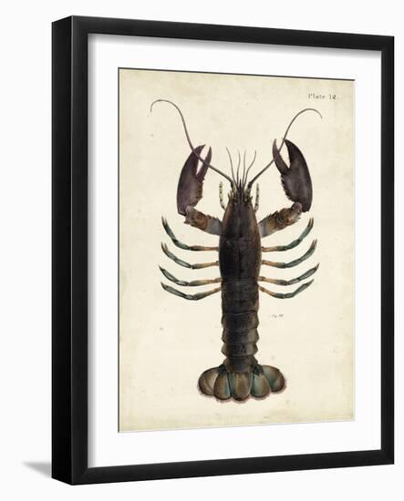 Vintage Lobster-DeKay-Framed Art Print