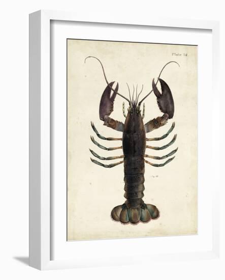 Vintage Lobster-DeKay-Framed Art Print