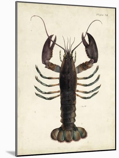 Vintage Lobster-DeKay-Mounted Art Print