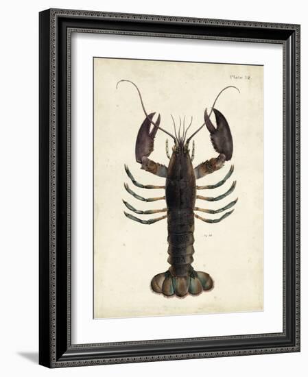 Vintage Lobster-DeKay-Framed Art Print