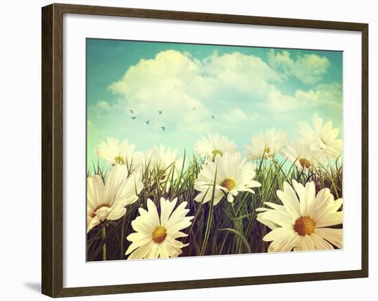 Vintage Look of Summer Daisies in Grass-Sandralise-Framed Photographic Print