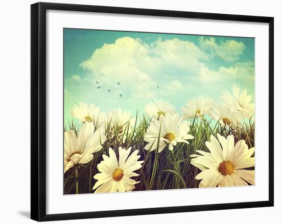 Vintage Look of Summer Daisies in Grass-Sandralise-Framed Photographic Print